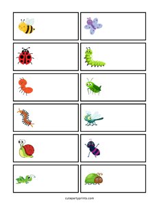 Insect Name Tags