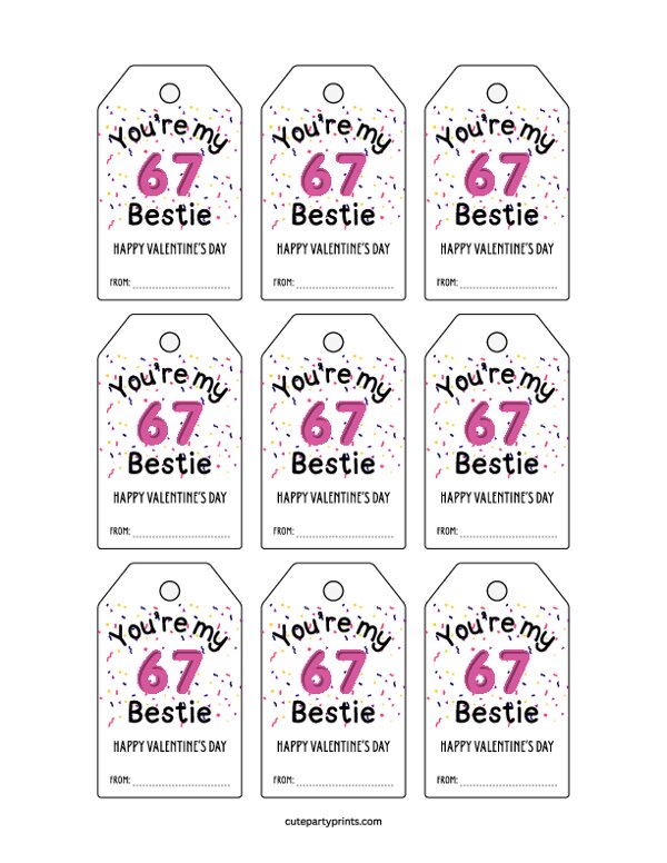 You Are My 67 Bestie Gift Tags