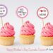 Mother's Day Cupcake Toppers